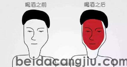 北方人喝酒很厉害吗？为什么南方人和北方人酒量不同？